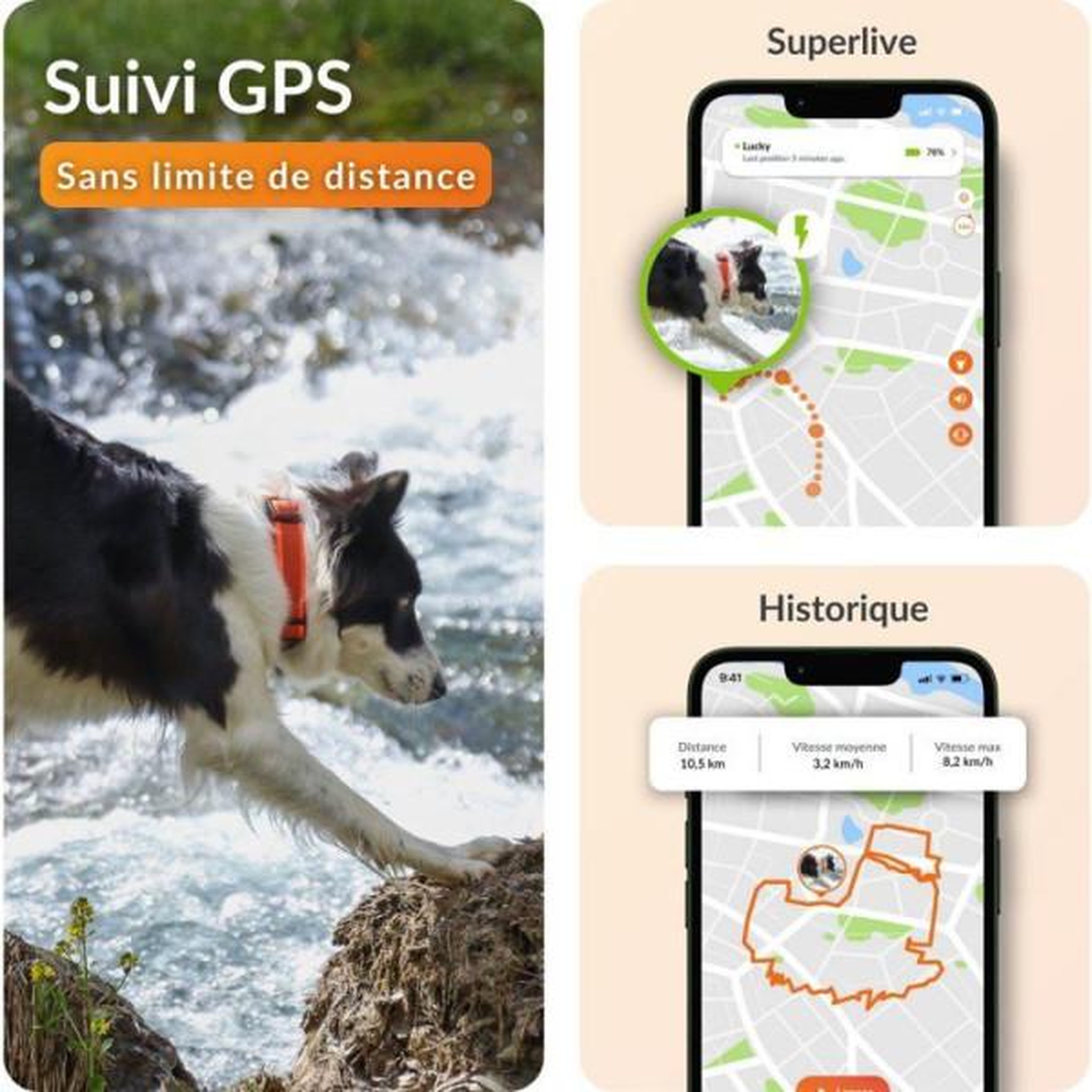 Voir la diapositive 3 : WEENECT Traceur gps pour chien sans collier - weenect - chien xt - antenne xl - etanche - fonctionne avec abonnement