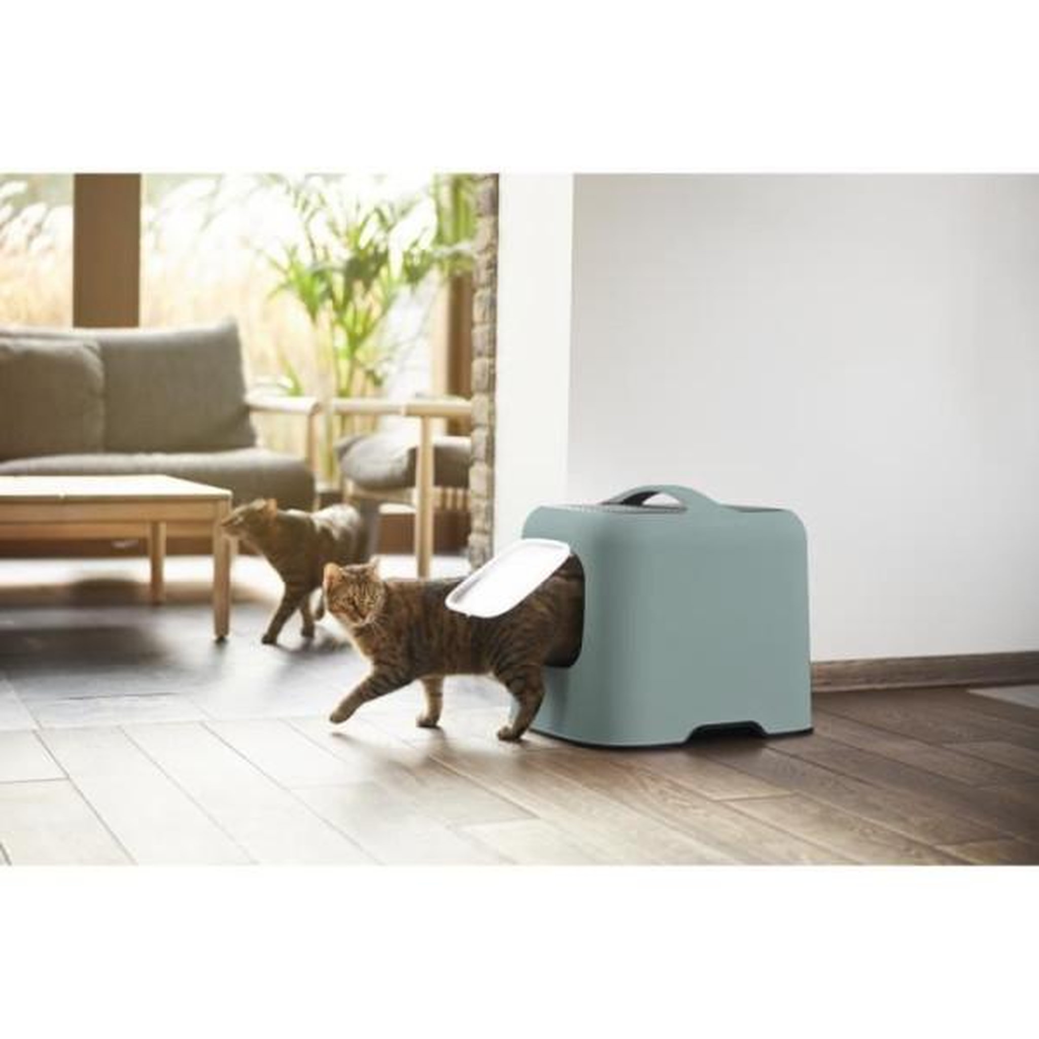 Voir la diapositive 3 : ROTHO Rotho - maison toilette pour chat 51 x 39 x 40 cm - bac a litiere - vert de gui