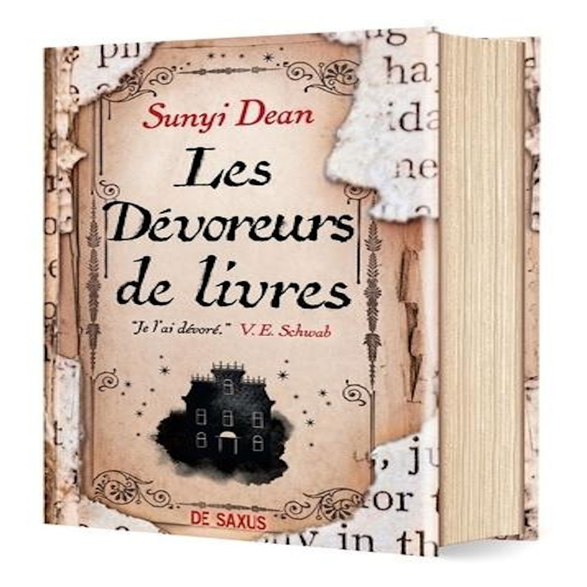 LES DEVOREURS DE LIVRES, Dean Sunyi