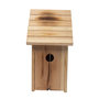 Voir la diapositive 5 : Windhager Nichoir à oiseau bois naturel