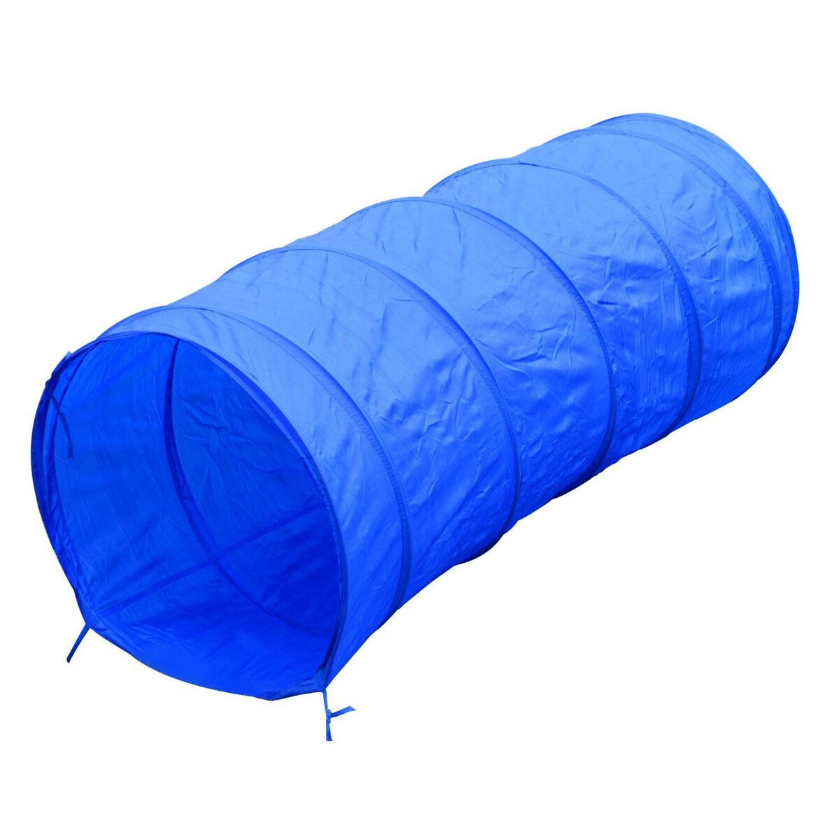 PAWHUT Agility sport pour chiens équipement complet obstacles, tunnel, slalom, zone repos + 2 sacs de transport bleu jaune