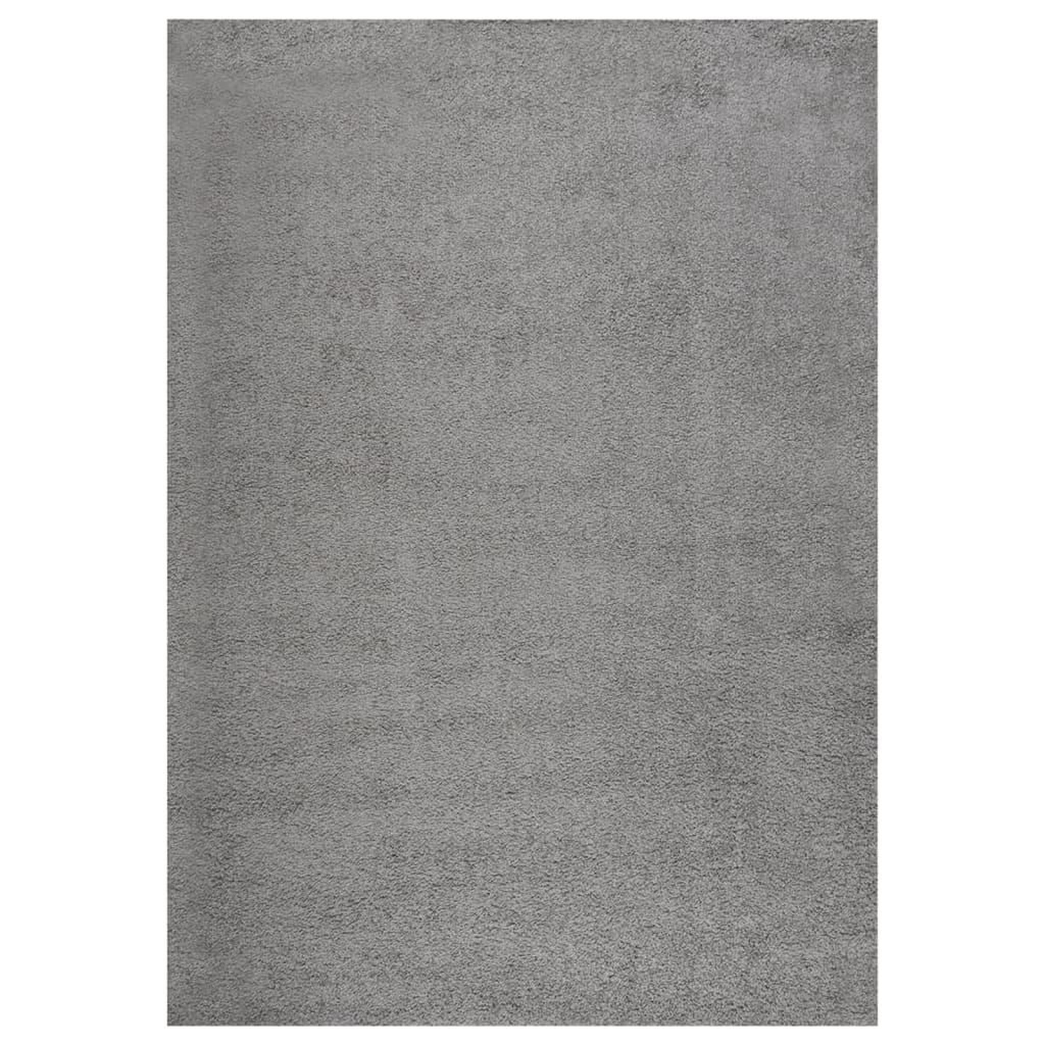 Voir la diapositive 1 : VIDAXL Tapis shaggy a poils longs Gris 120x170 cm