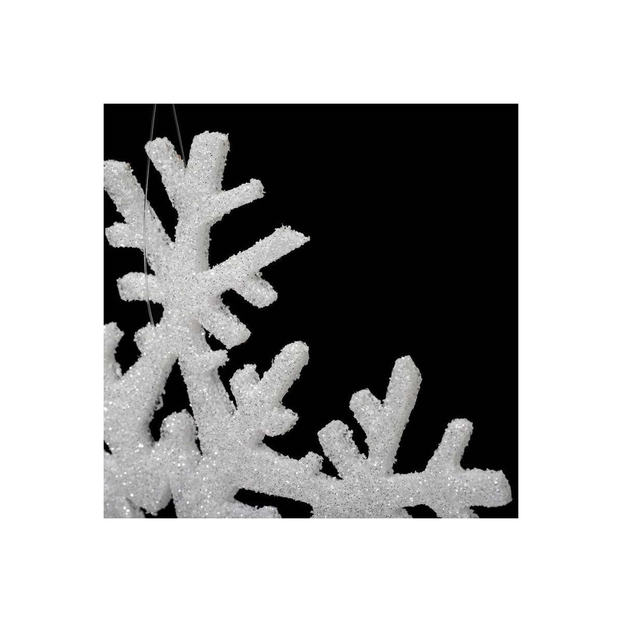 Voir la diapositive 3 : FEERIC LIGHT & CHRISTMAS Décoration de noël 6 flocons  polaire  20cm blanc