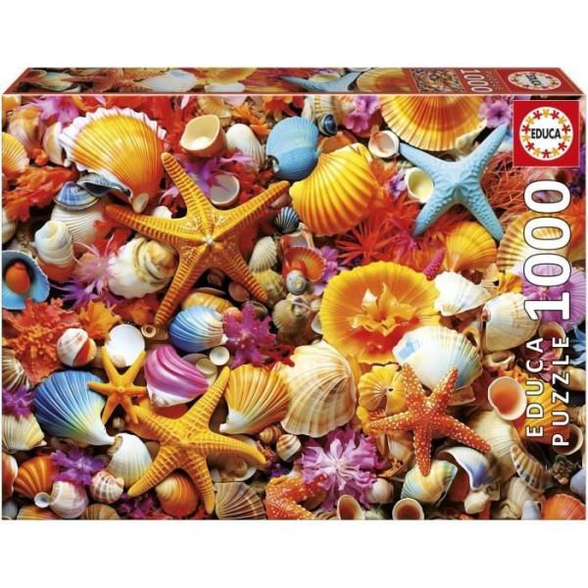EDUCA Puzzle - EDUCA - Collage de Coquillages - 1000 pieces - 68x48 cm - a partir de 12 ans
