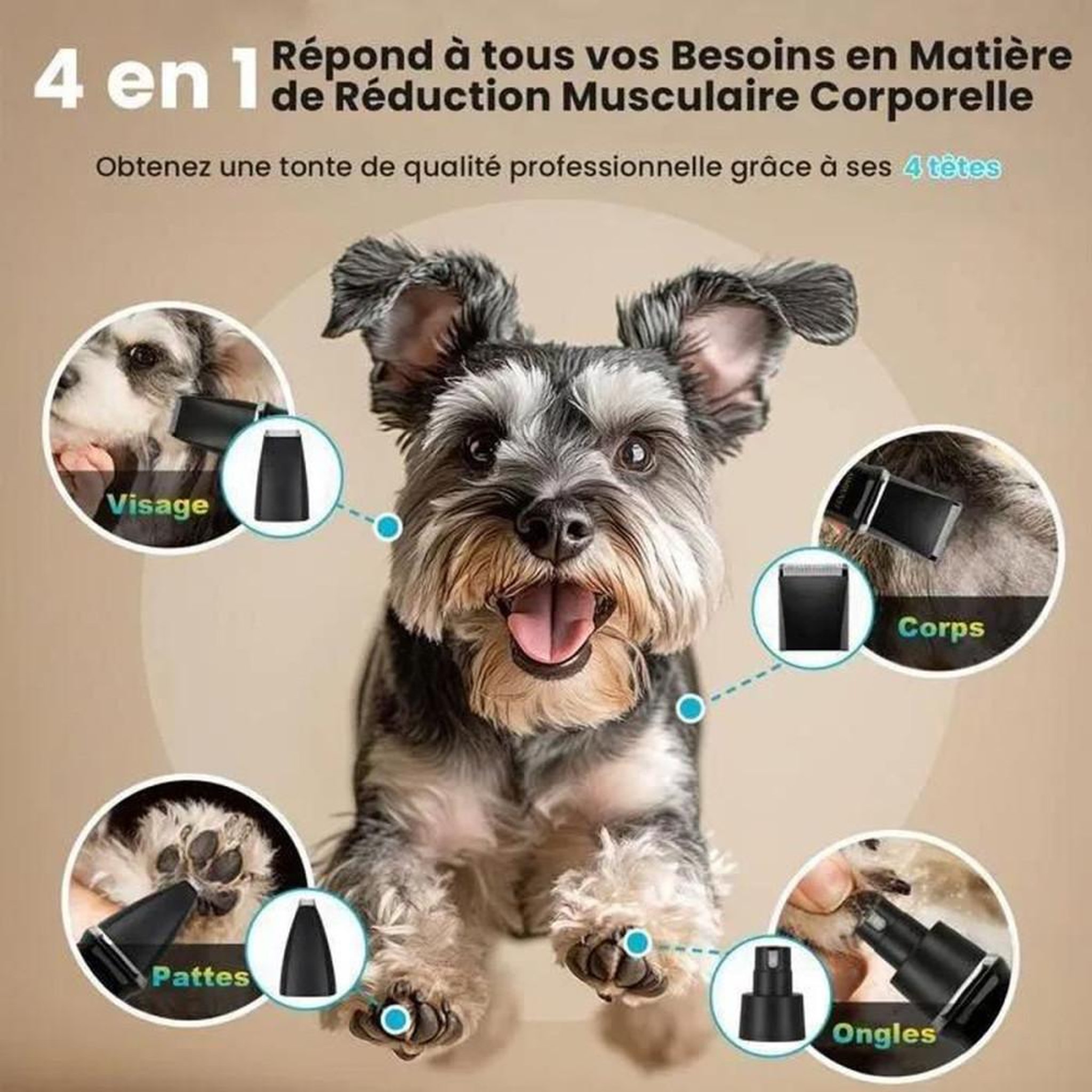 Voir la diapositive 3 : Tondeuse électrique 4-en-1 poils chiens et chats, lames en céramique, IPX4, recharge USB-C 1000 mAh, peignes de guidage