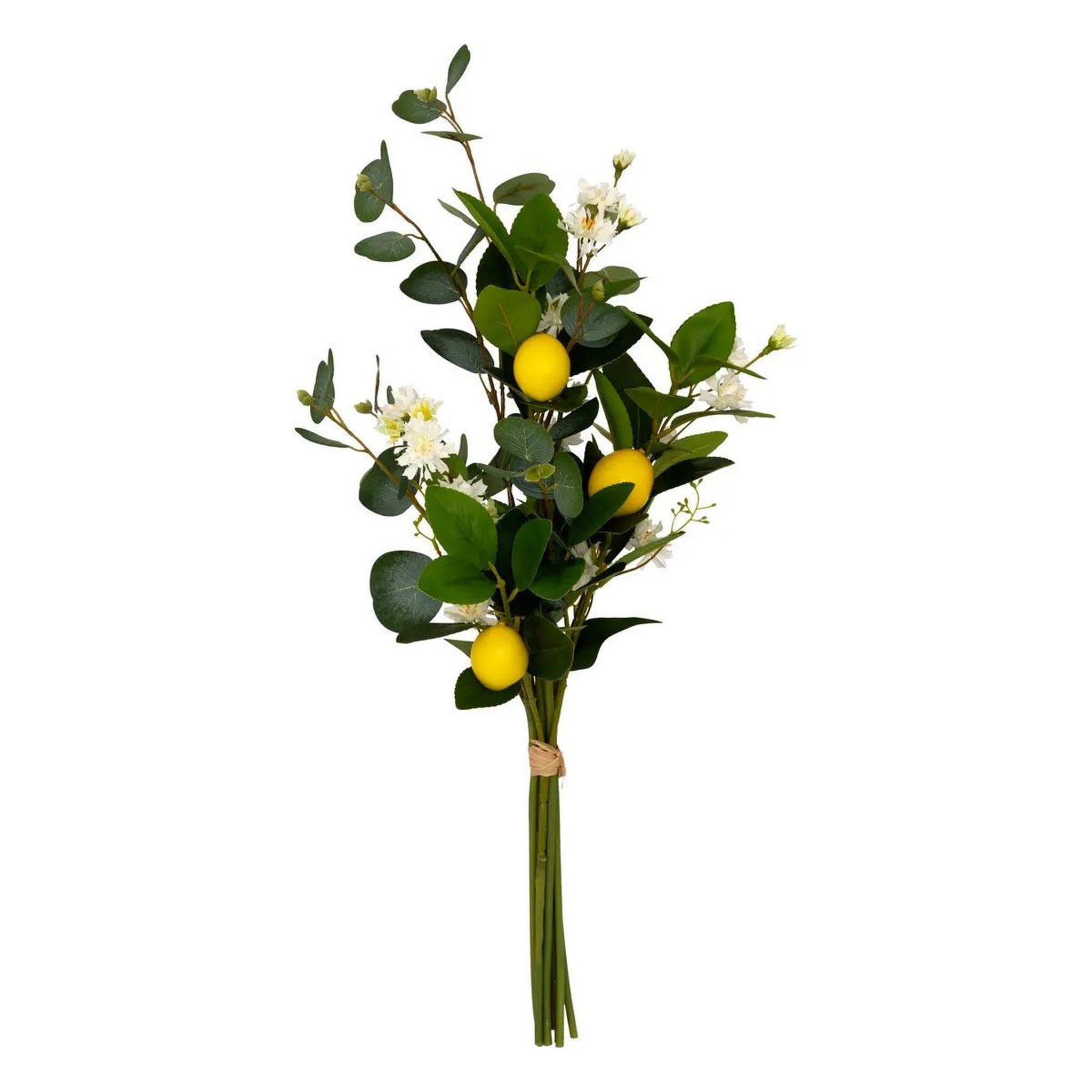 Voir la diapositive 1 : ATMOSPHERA Bouquet artificiel citrons  gilda  64cm multicolore
