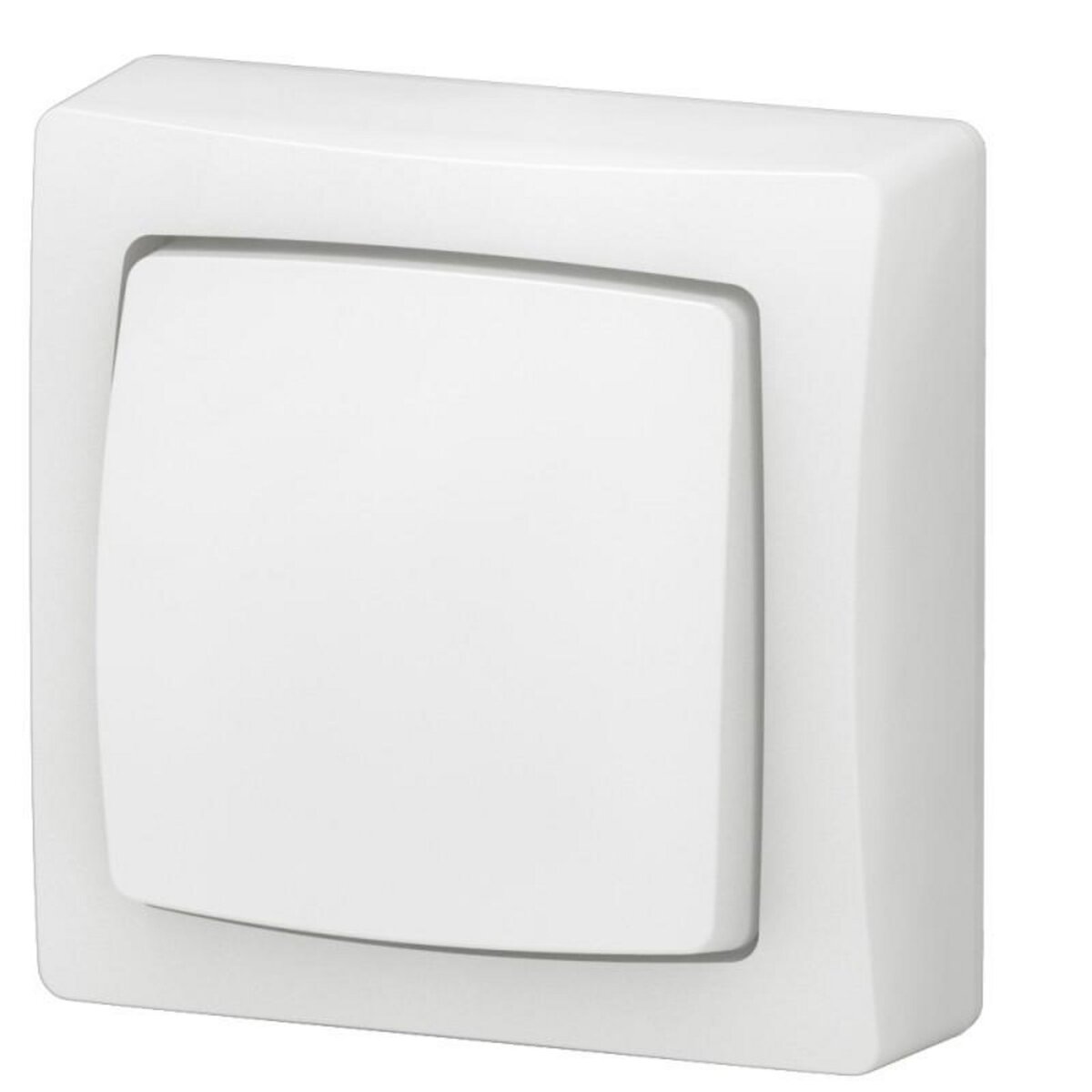 Legrand Interrupteur va et vient ou poussoir saillie complet blanc LEGRAND 086001L