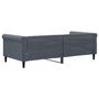 Voir la diapositive 5 : VIDAXL Lit de repos gris fonce 90x190 cm velours