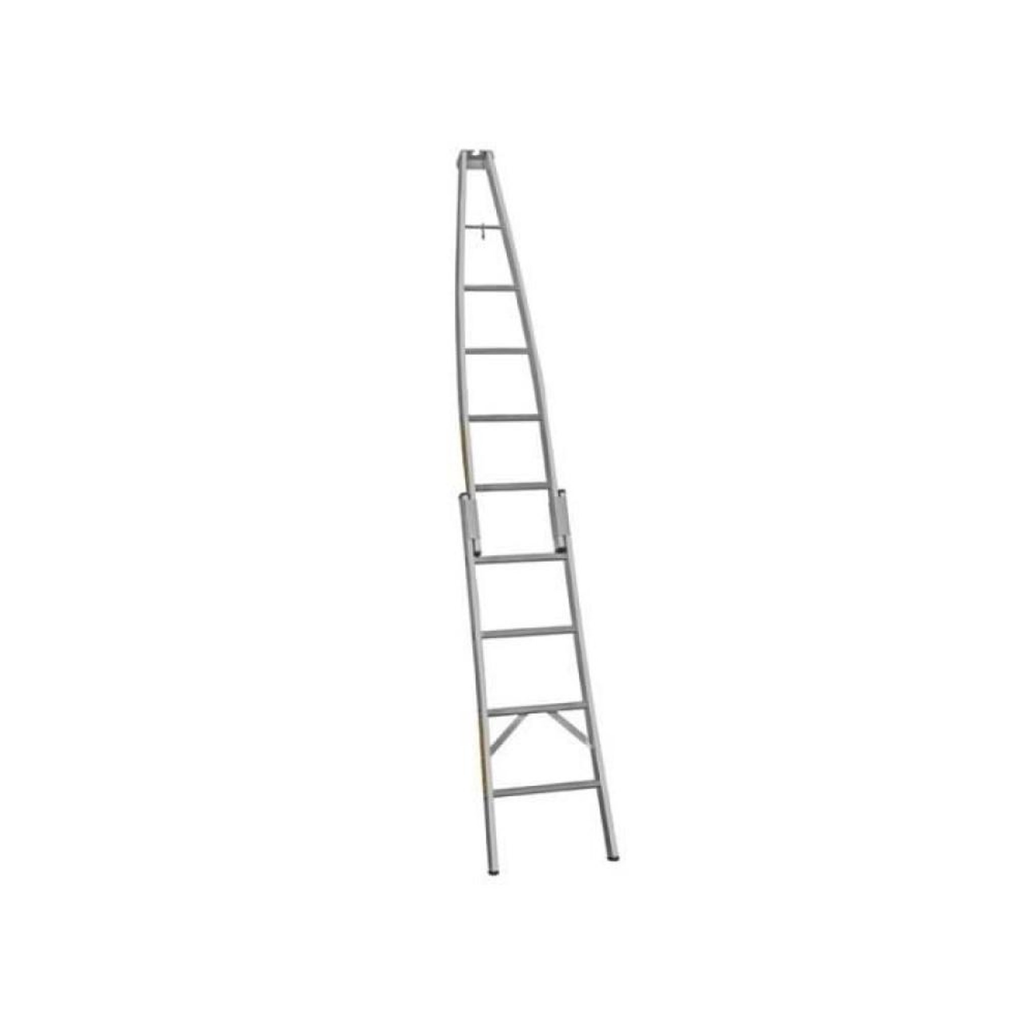 Centaure Echelle nettoyeur N - 2 éléments - Spécial vitres