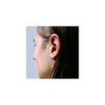 SDX Edition Limitée