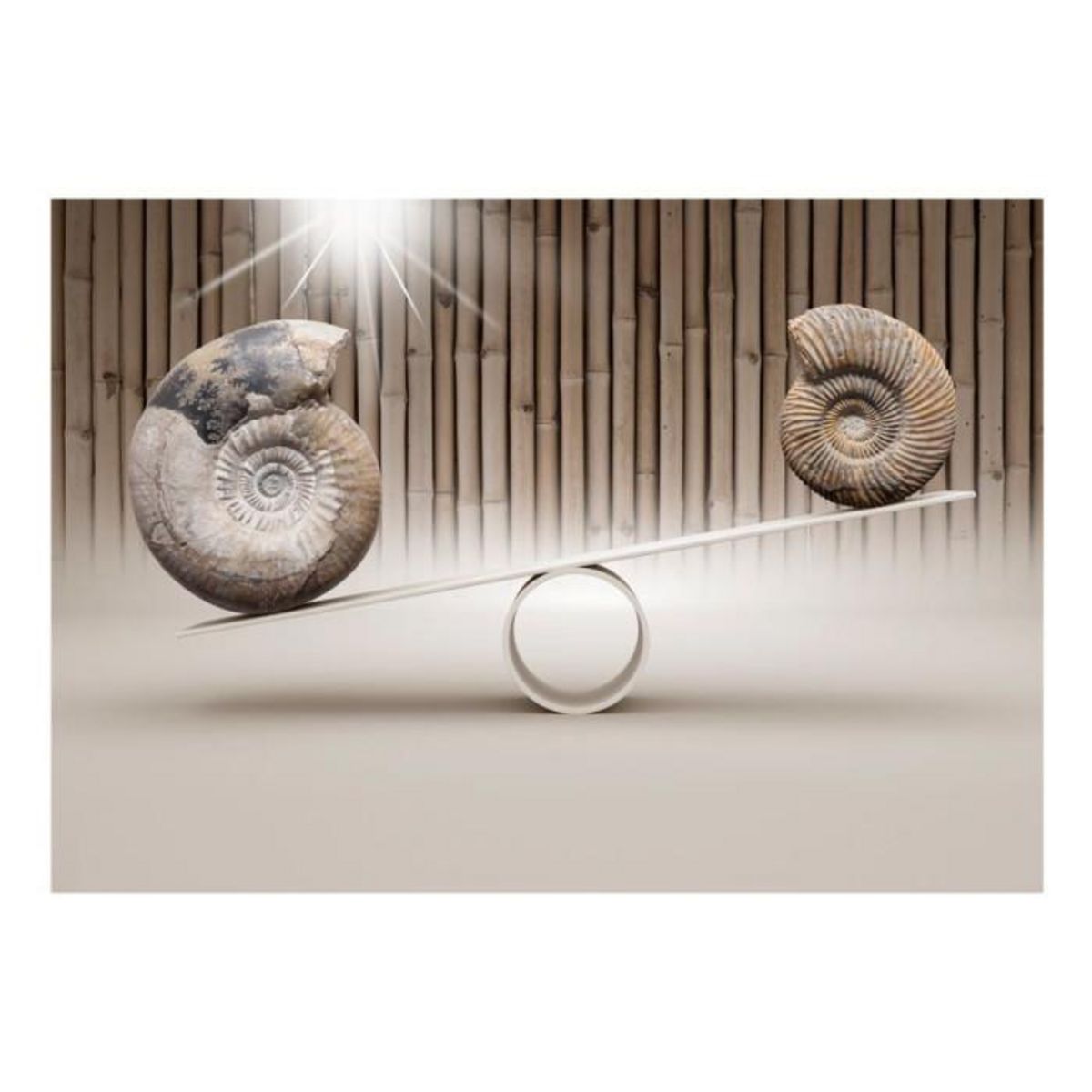 Paris Prix Papier Peint  Fun with Fossils