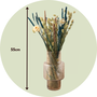 Voir la diapositive 2 : PLANT IN A BOX Fleurs séchées - Bouquet 'Trendy Cool'