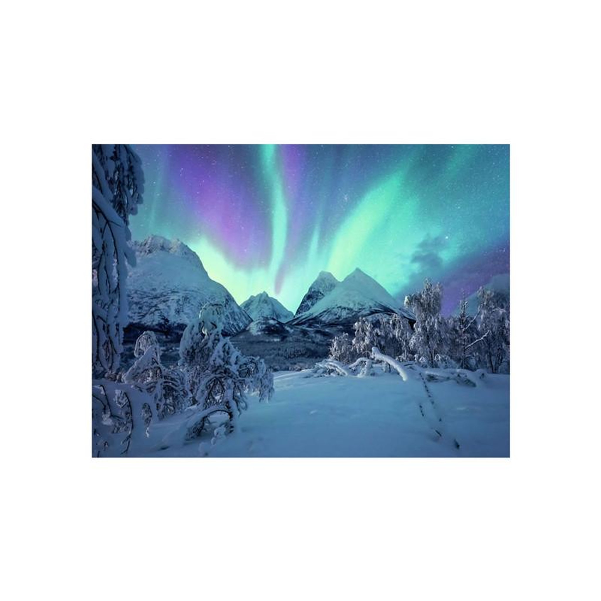 Voir la diapositive 2 : RAVENSBURGER Ravensburger - Jigsaw puzzle Wenn Die Nordlichter Tanzen, 1500 pcs. 12000802 6