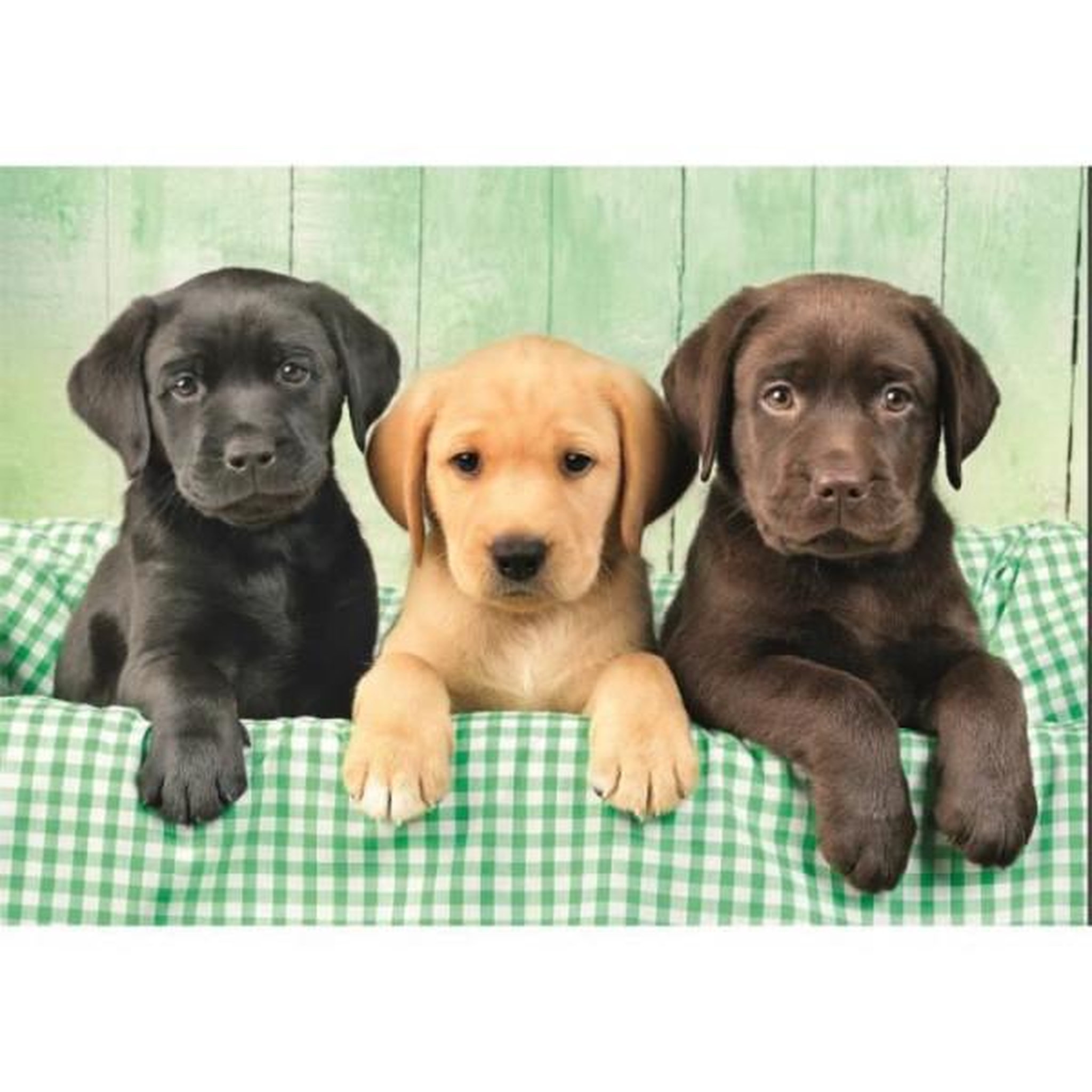 Voir la diapositive 2 : CLEMENTONI Clementoni - compact 1000 pieces - three labs
