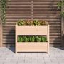 Voir la diapositive 3 : VIDAXL Jardiniere 77x25x66 cm Bois massif de pin