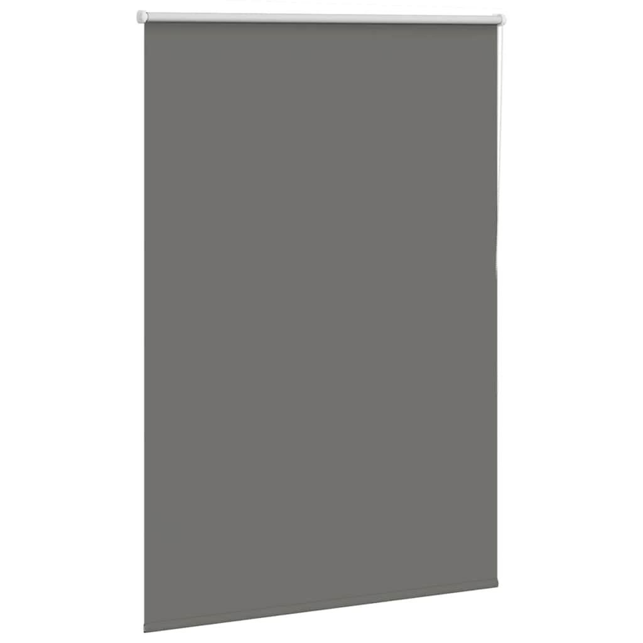 Voir la diapositive 3 : VIDAXL Store enrouleur occultant largeur du tissu 110,7 cm polyester