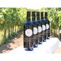 Smartbox Visite de vignoble biologique avec dégustation de 3 vins pour 2 près de Blaye - Coffret Cadeau Sport & Aventure