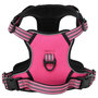 Voir la diapositive 1 : VIDAXL Harnais pour chien avec laisse et collier reglables rose S
