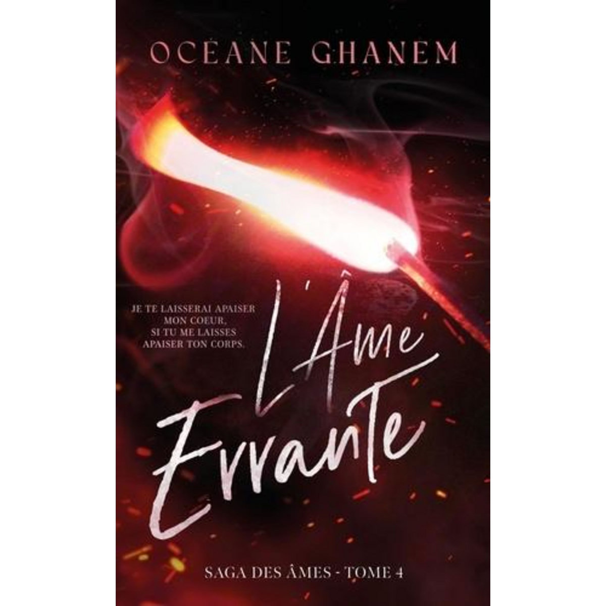 LA SAGA DES AMES : L'AME ERRANTE. TOME 4, Ghanem Océane