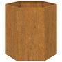 Voir la diapositive 5 : VIDAXL Jardiniere Rouille 40x40x45 cm Acier corten
