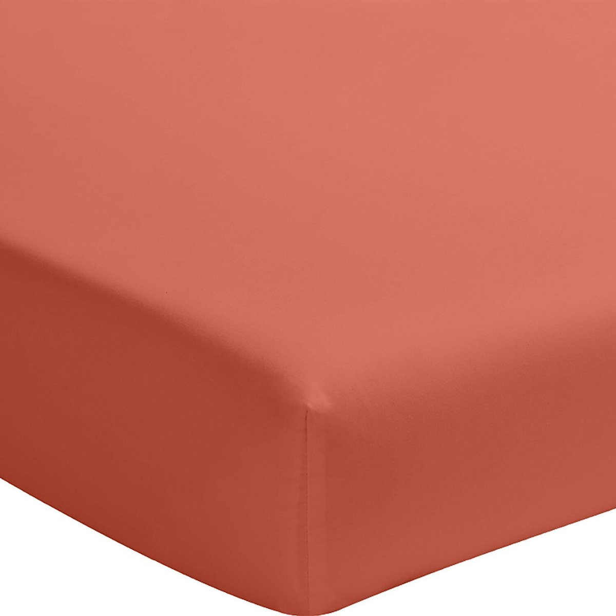 BATON ROUGE Drap housse en percale de coton