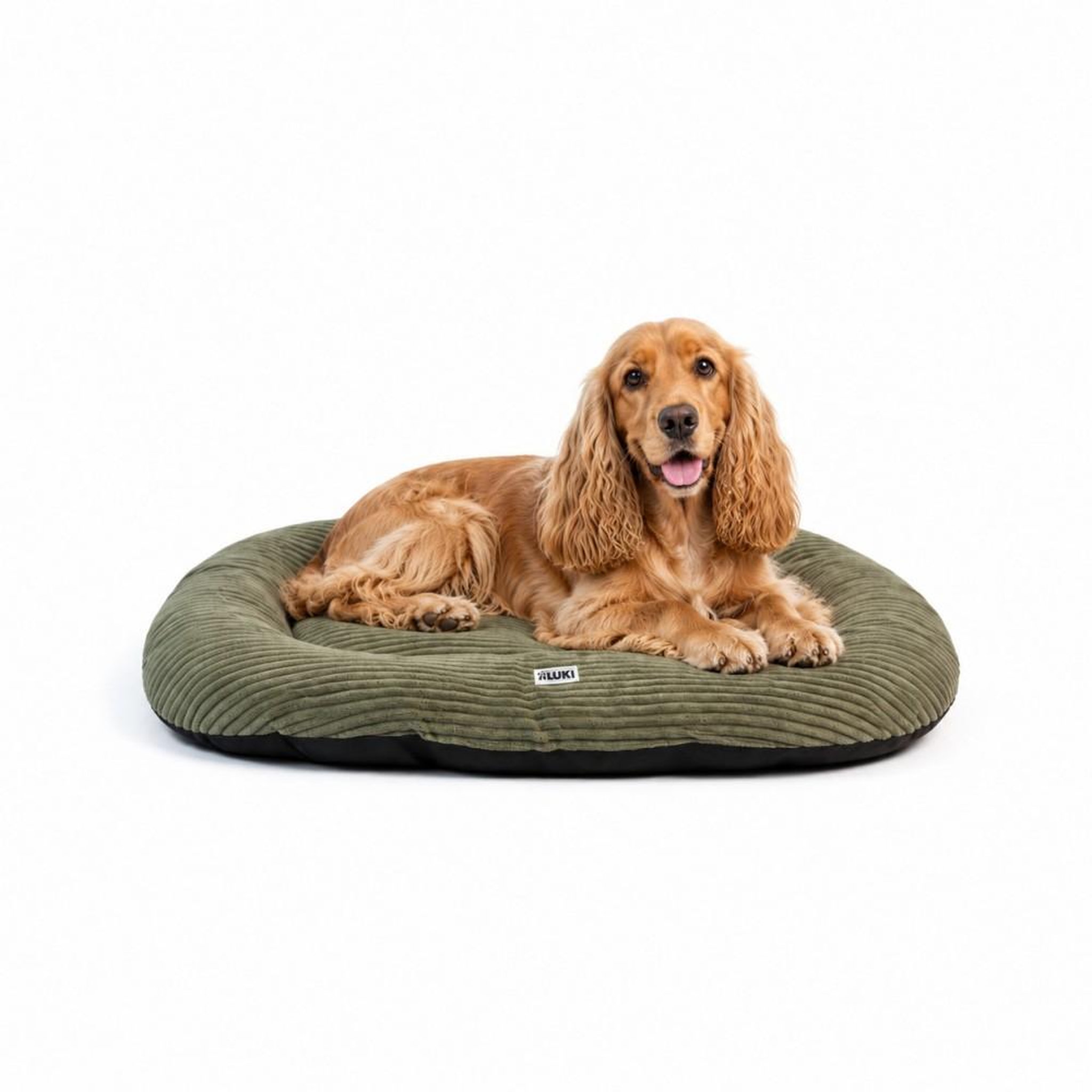 Voir la diapositive 2 : MON AMI LUKI MON AMI LUKI - Coussin ovale antiderapant velours cotele pour chien