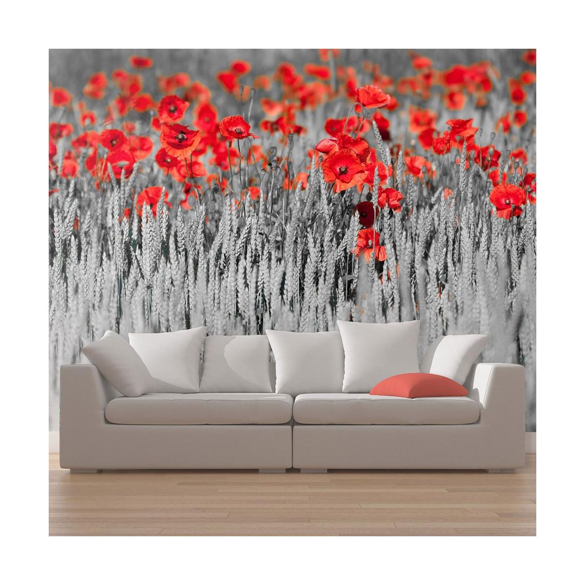 Paris Prix Papier peint  coquelicots rouge sur champ noir & blanc  270x450cm