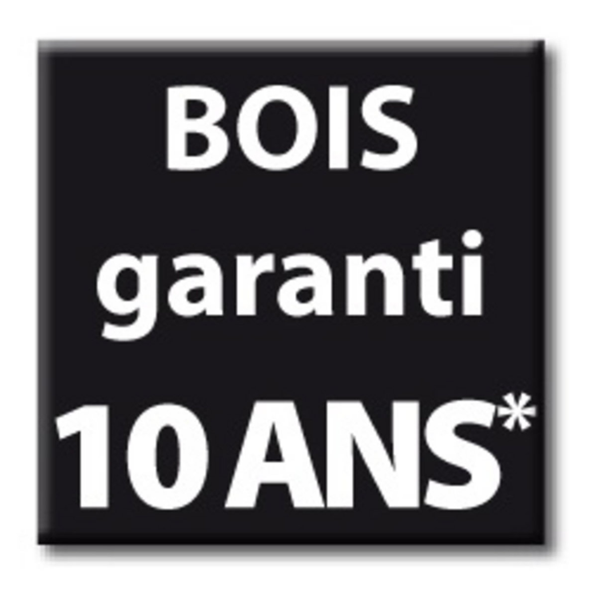 SUNBAY Piscine rectangulaire en bois Mint 10,18 x 4,27 x H1.46m