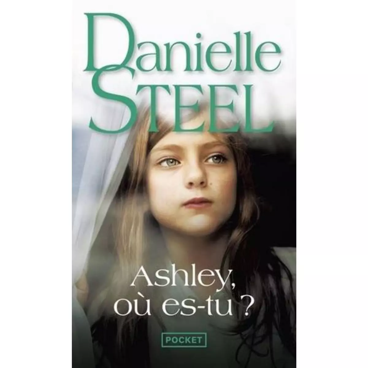  ASHLEY, OU ES-TU ?, Steel Danielle