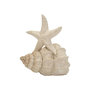 Voir la diapositive 1 : Paris Prix Étoile de Mer sur Coquillage en Résine  Sand  30cm Beige