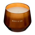 ATMOSPHERA Bougie Parfumée en Verre  Glowy  300g Bois d'Or