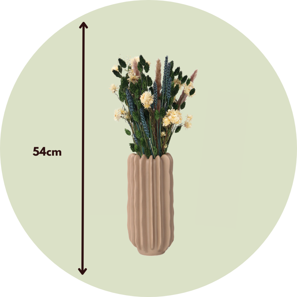 PLANT IN A BOX Fleurs séchées - Bouquet 'Trendy Comfort'