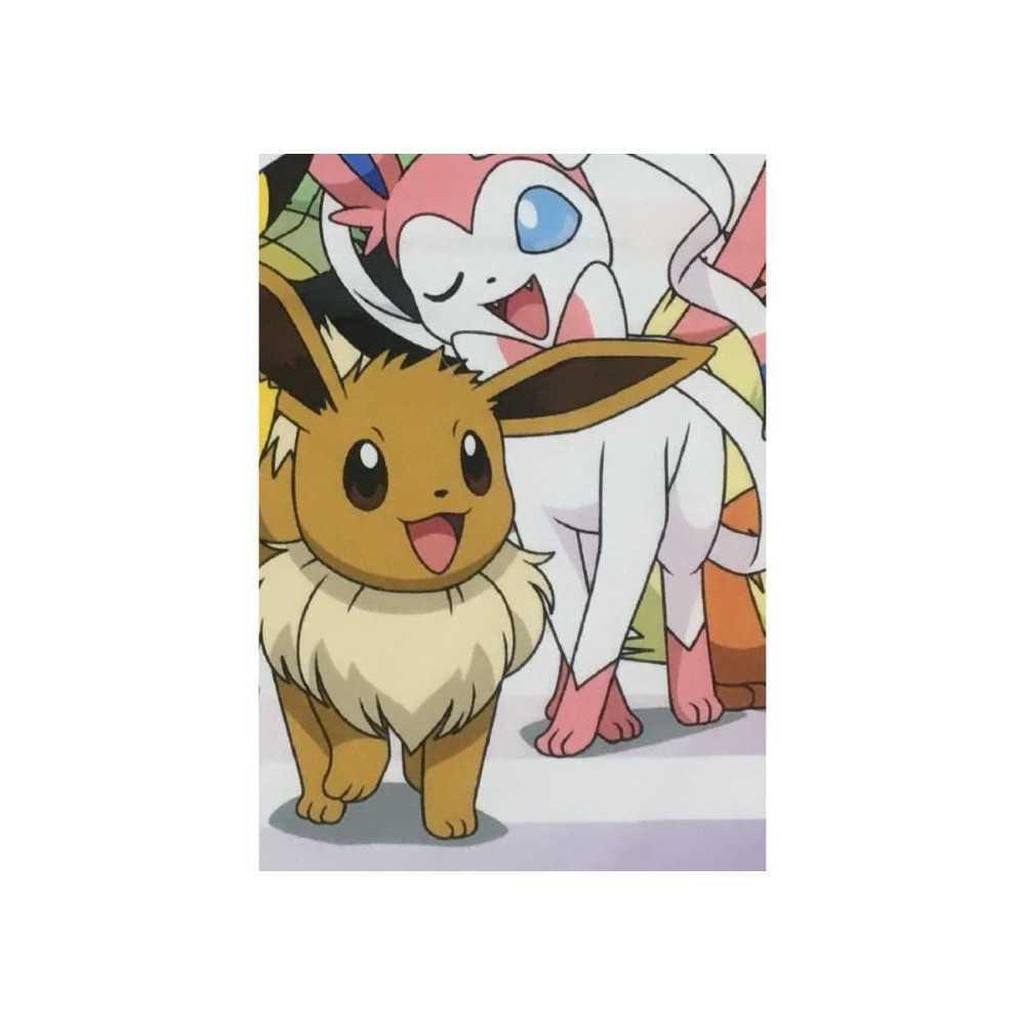 Voir la diapositive 4 : Pokemon Couverture Sherpa - POKEMON - Evolutions - 100 x 150 cm