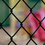 Voir la diapositive 2 : WERKAPRO Grillage maille losange 10 m Werka Pro