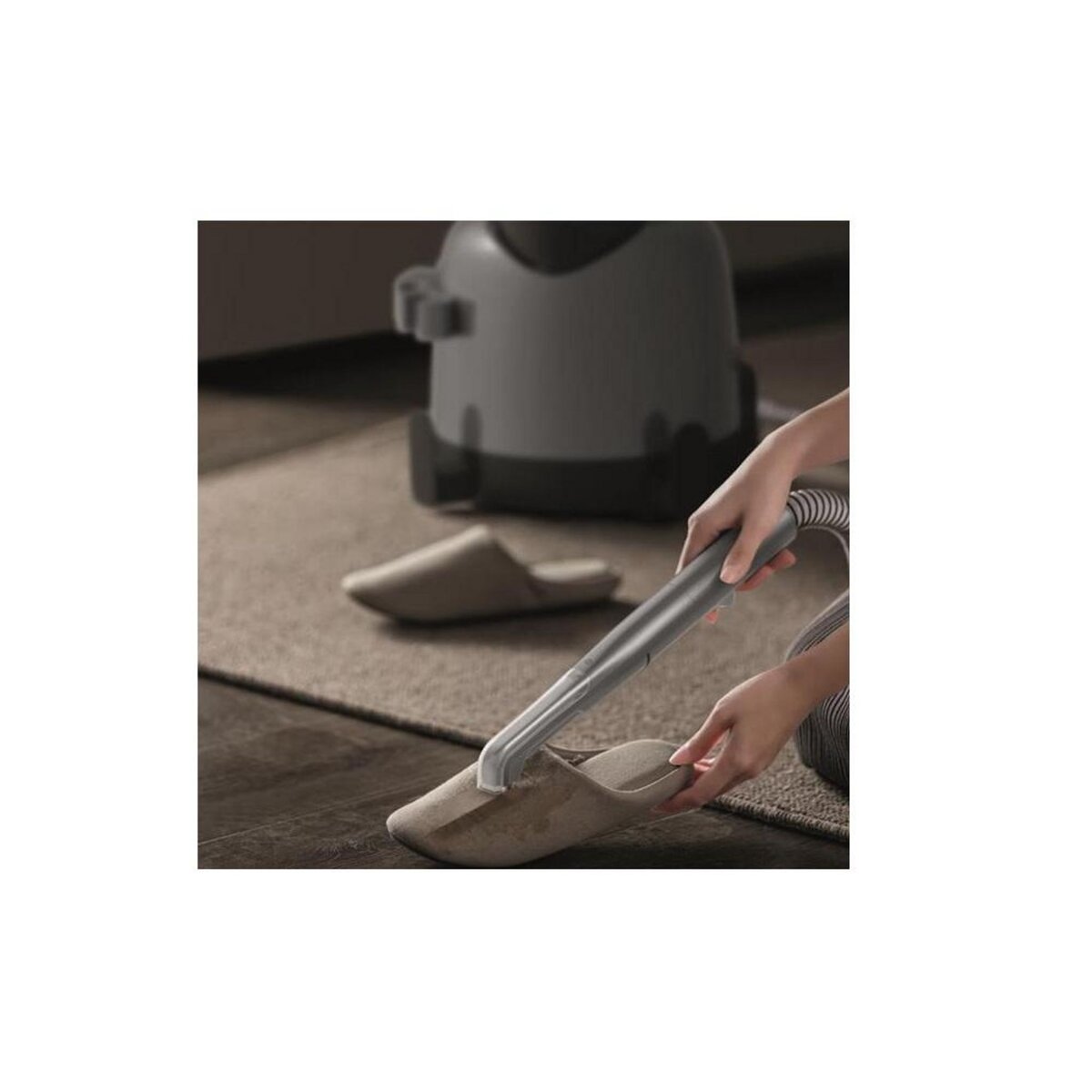 e.ziclean Nettoyeur vapeur traîneau 850w - REMOVERW4HOT