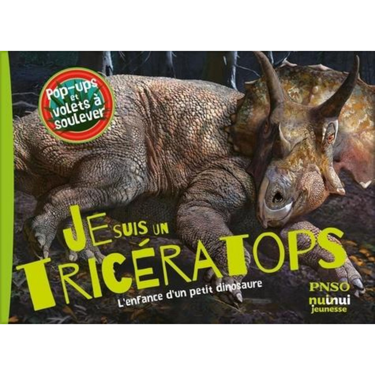 JE SUIS UN TRICERATOPS ! L'ENFANCE D'UN PETIT DINOSAURE, Nuinui
