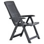 Voir la diapositive 5 : VIDAXL Chaises inclinables de jardin lot de 2 Plastique Anthracite