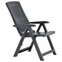 Voir la diapositive 5 : VIDAXL Chaises inclinables de jardin lot de 2 Plastique Anthracite