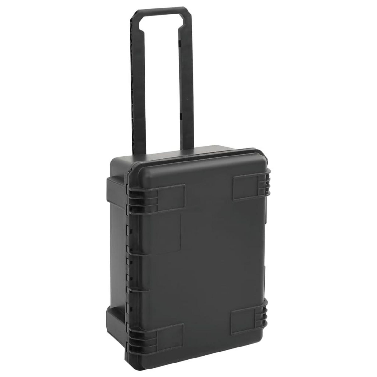 VIDAXL Valise de vol portable Noir 54x41,5x29 cm PP