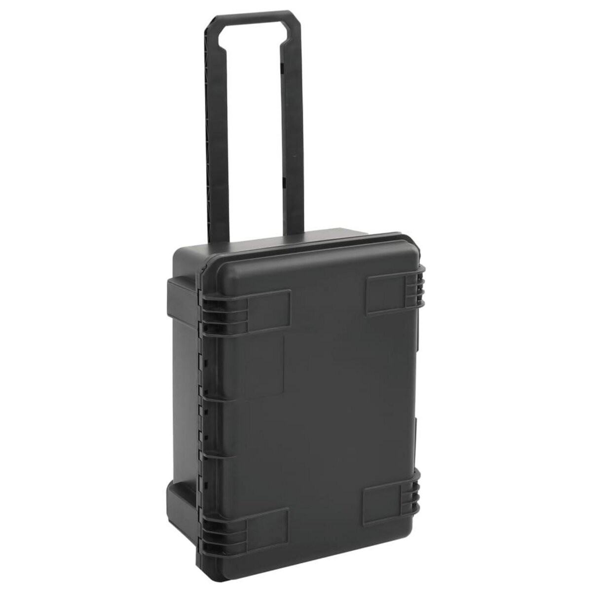 VIDAXL Valise de vol portable Noir 54x41,5x29 cm PP