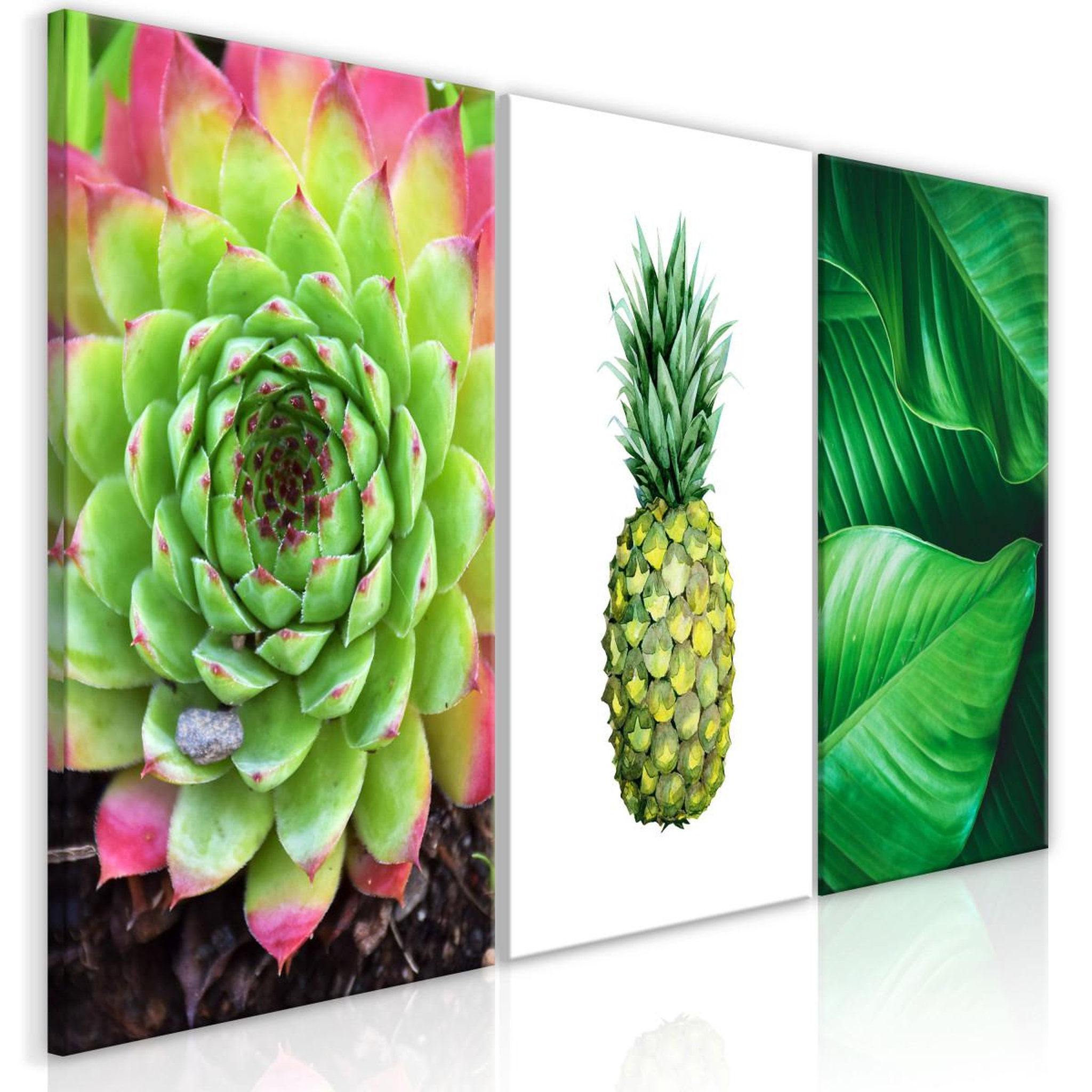 Paris Prix Tableau  Treasures of the Tropics 3 Panneaux  60x120cm