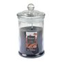 Voir la diapositive 1 : Paris Prix Bougie Parfumée Bocal  Essentiel II  15cm Bois de Santal