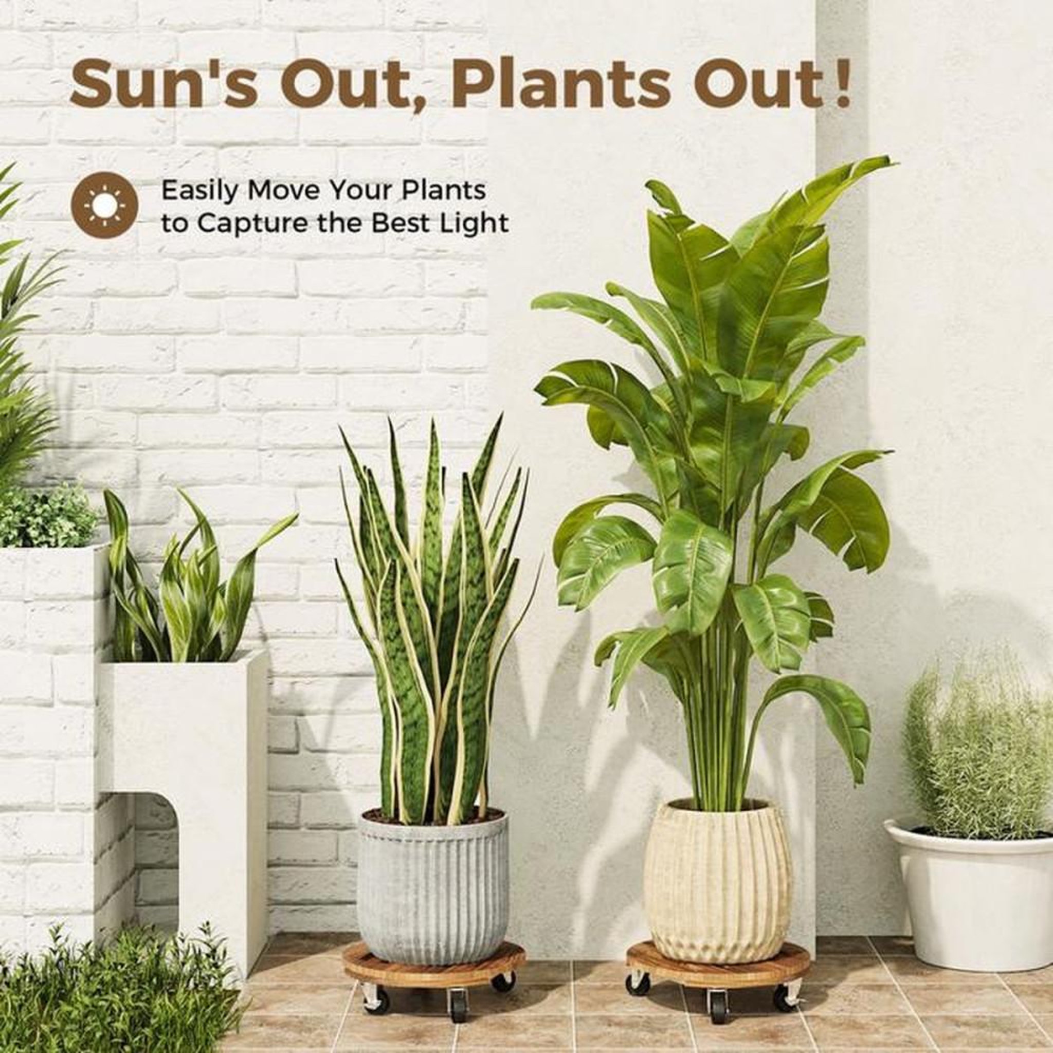 Voir la diapositive 2 : Set de 2 supports de plantes en bois renforcé avec roulettes silencieuses et freins, plateau Ø 30,5 cm