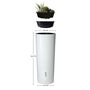 Voir la diapositive 3 : GARANTIA Récupérateur d'eau arrondi 350L Coco
