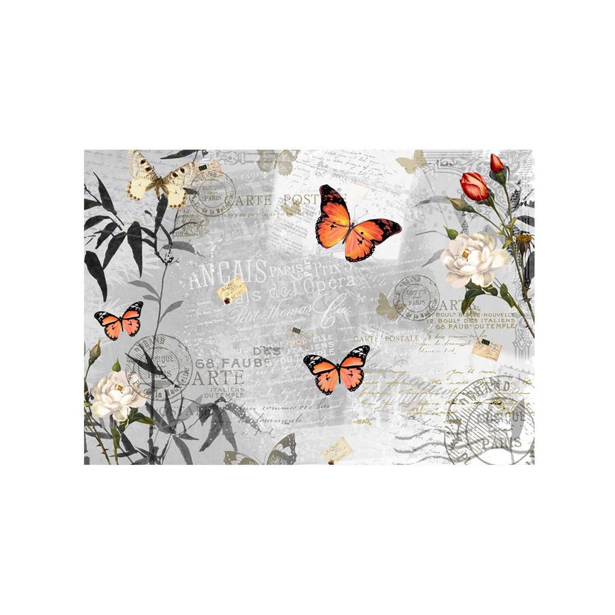 Voir la diapositive 2 : Paris Prix Papier peint  butterflies song