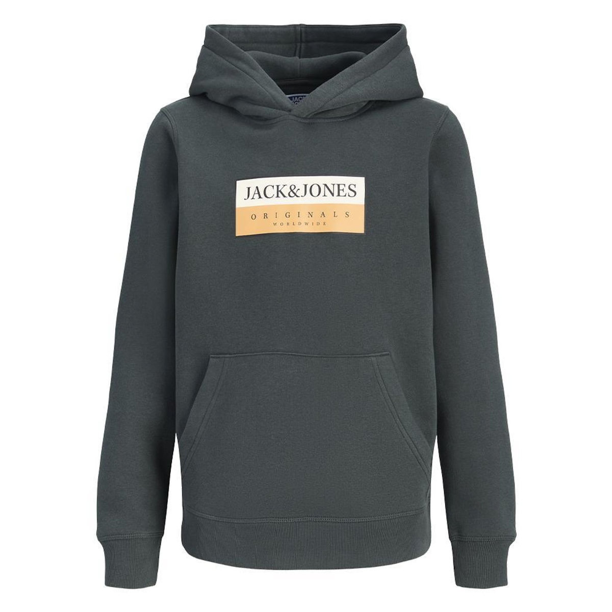 Jack & Jones Sweat  Foncé Garçon Jack & Jones Frederiksberg