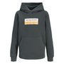 Voir la diapositive 1 : Jack & Jones Sweat  Foncé Garçon Jack & Jones Frederiksberg