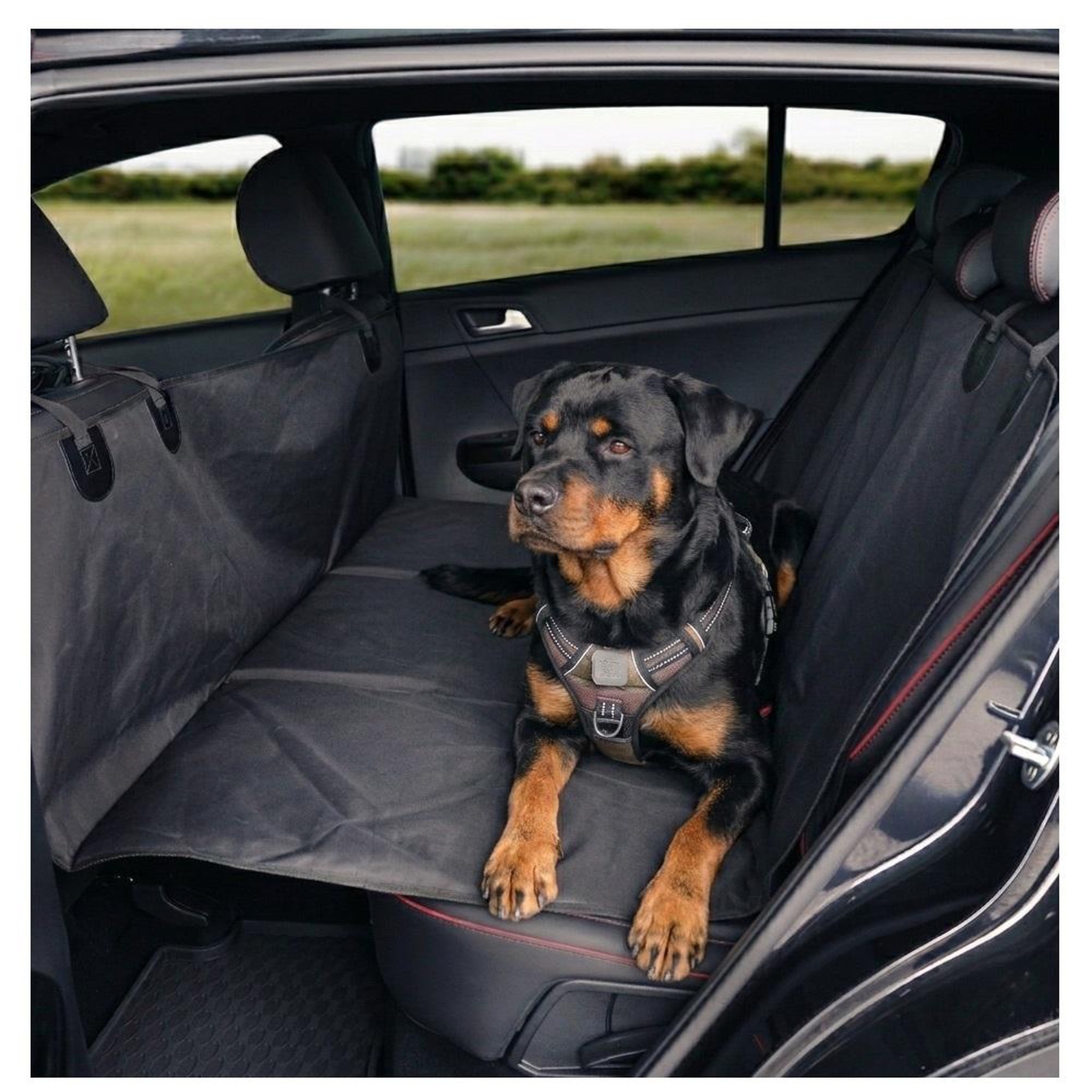 Voir la diapositive 2 : Eden Housse de siège auto pour chien protection banquette arrière noir
