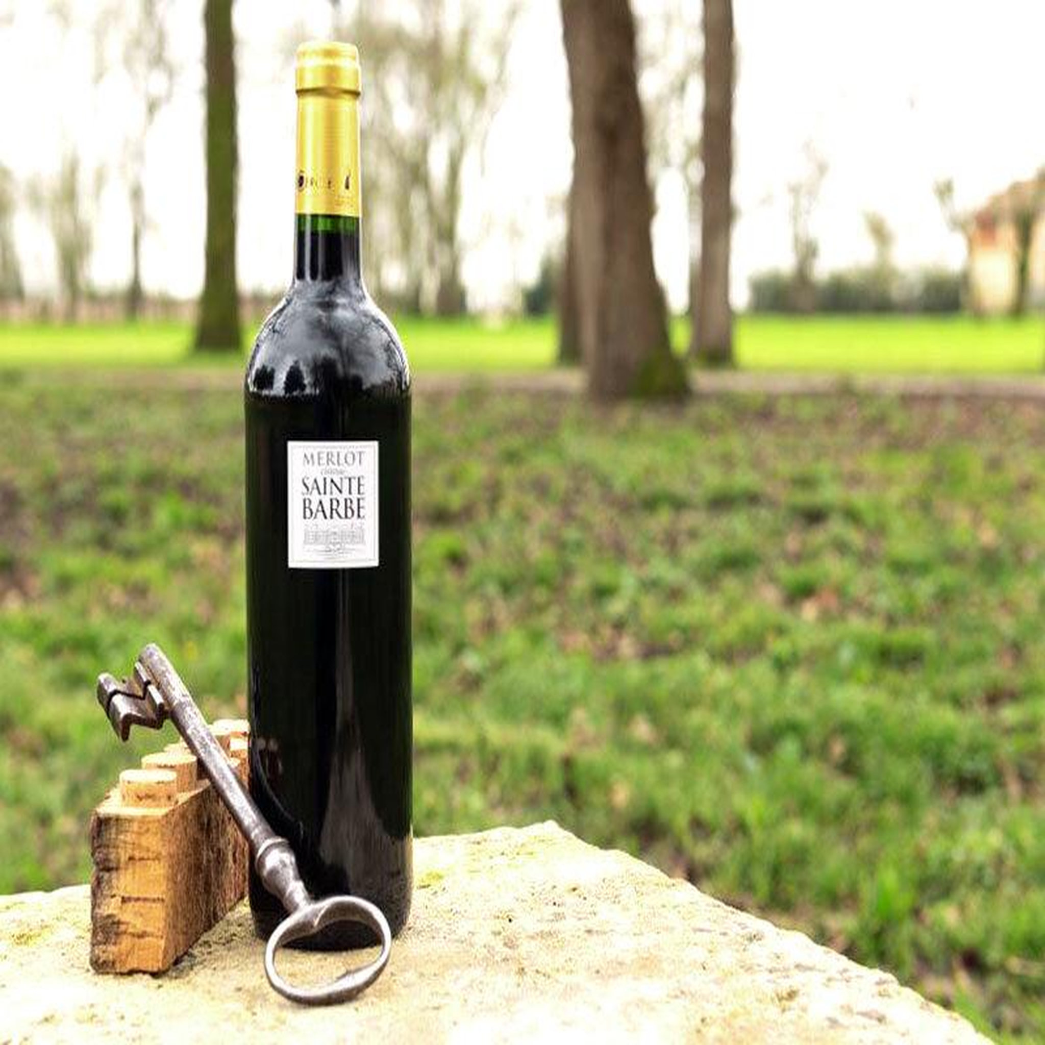 Voir la diapositive 2 : Smartbox Coffret 2 bouteilles de bordeaux rouge du château sainte barbe - coffret cadeau gastronomie