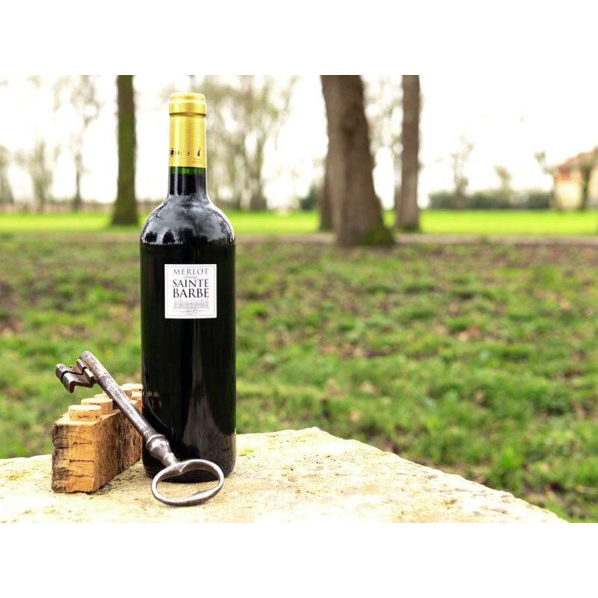 Smartbox Coffret 2 bouteilles de bordeaux rouge du Château Sainte Barbe - Coffret Cadeau Gastronomie